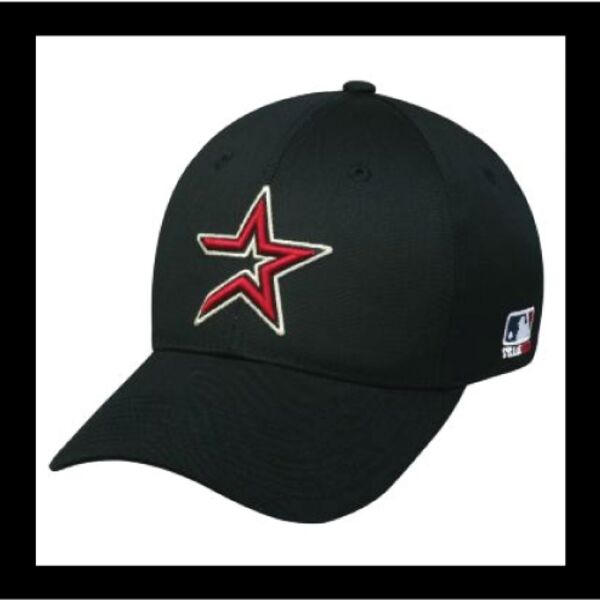 Houston Astros Thumbnail