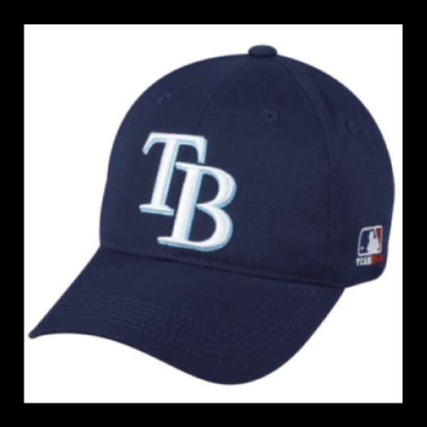 Tampa Bay Rays Thumbnail