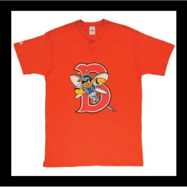 Binghamton Mets Thumbnail